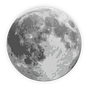 The Nightline Project's avatar
