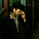 Spencer Chang's avatar