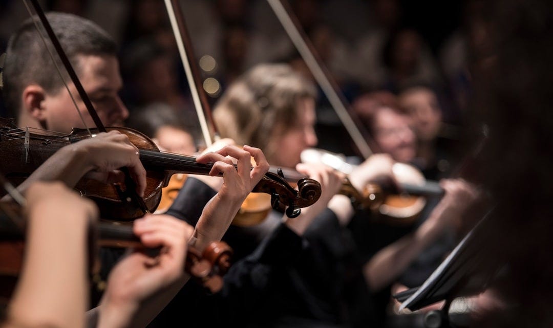 people playing violin inside dim room people playing violin inside dim room