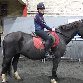 Ecclesville’s popular Show jumping League continues