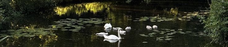 Obraz Pina z opowieścią Obraz Pina z opowieścią