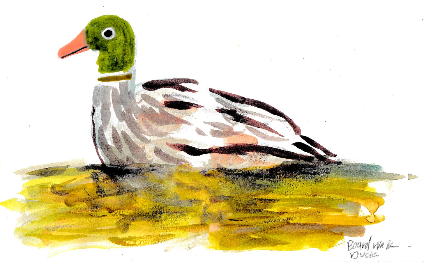 duck illustration by Beth Spencer duck illustration by Beth Spencer