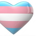 Posie Parker vs Transgender Rights.