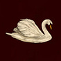تَدَبُّر 🦢's avatar