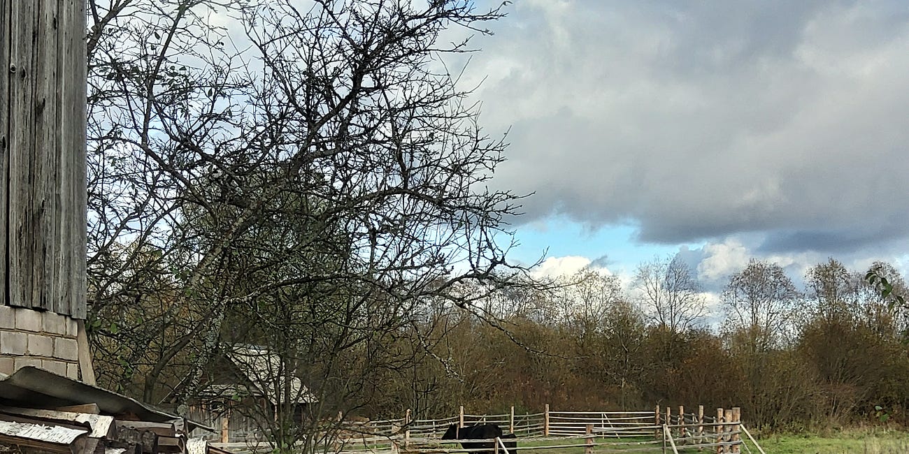 Why I went to the village