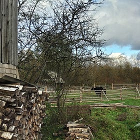 Why I went to the village