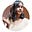 Lilly Hepsibah Rani's avatar