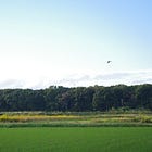 From the Global Surface to the Indigenous Soil