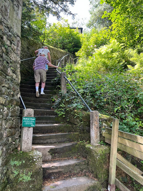 2025-6-20 Beginning of the Radical Steps, photo by author