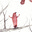 Roz MacLean's avatar