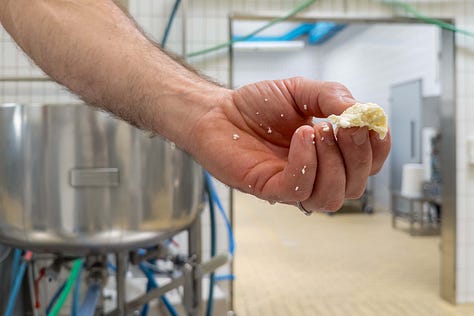 Eine Bildergalerie aus der Versuchskäserei von Agroscope zeigt verschiedene Schritte der Käseherstellung: Mitarbeitende in weissen Kitteln und Hauben im Gespräch, das Einfüllen von Flüssigkeiten in grosse Edelstahltanks, das Bearbeiten der Milch mit Käseharfen, das Prüfen der Bruchmasse von Hand sowie das Abfüllen der Käsemasse in Formen. Weitere Fotos zeigen Käselaibe in Regalen und eine Mitarbeiterin, die Produktionsdaten auf einem Blatt Papier kontrolliert. Die Galerie vermittelt einen umfassenden Einblick in den handwerklichen und wissenschaftlichen Prozess der Käseherstellung.