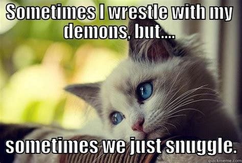 Photo of a white kitten with blue eyes, looking wistfully into the distance with its head tilted to one side. The text surrounding the image reads: "Sometimes I wrestle with my demons, but... sometimes we just snuggle."
