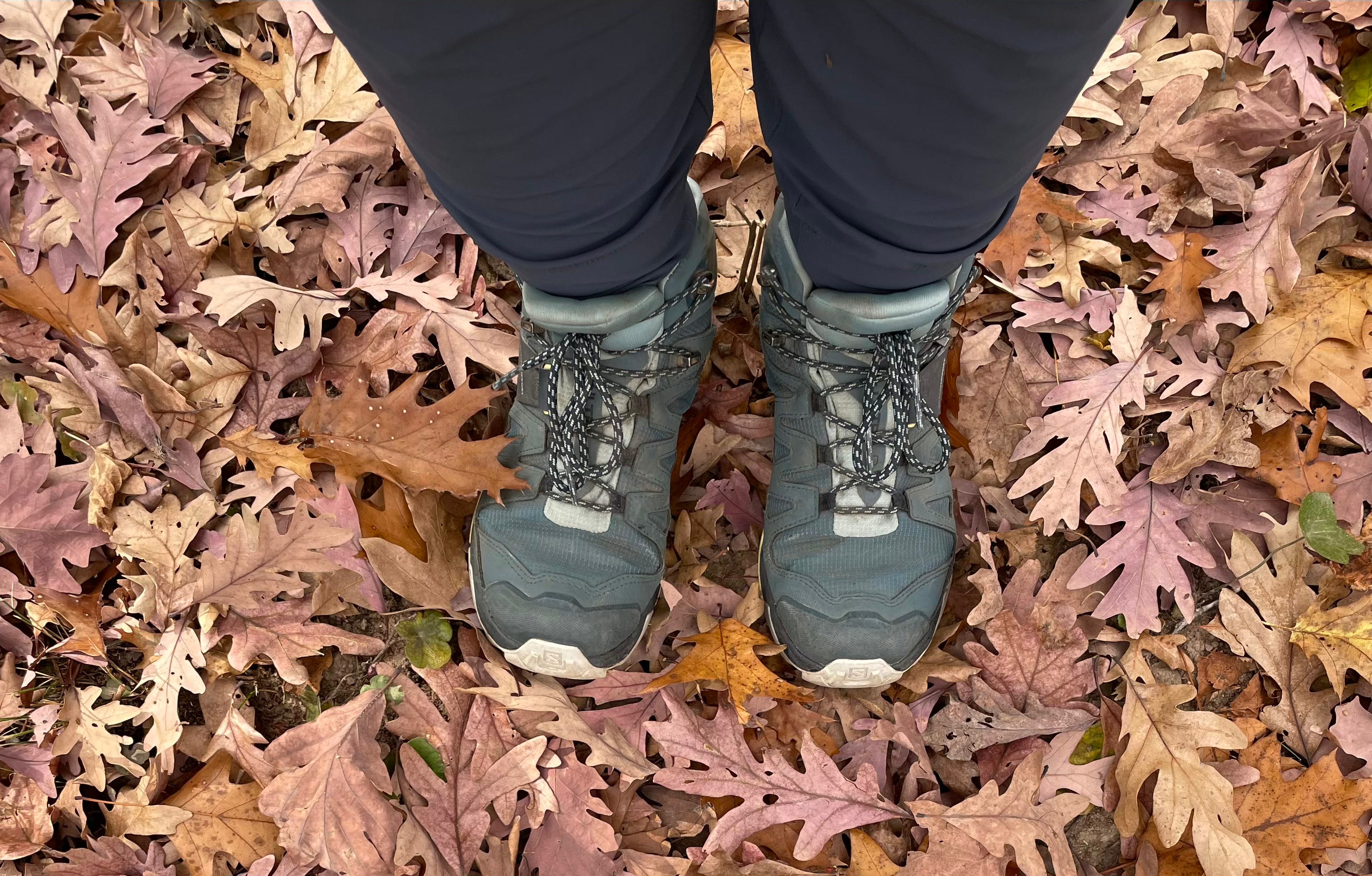 Sometimes I Hate Hiking