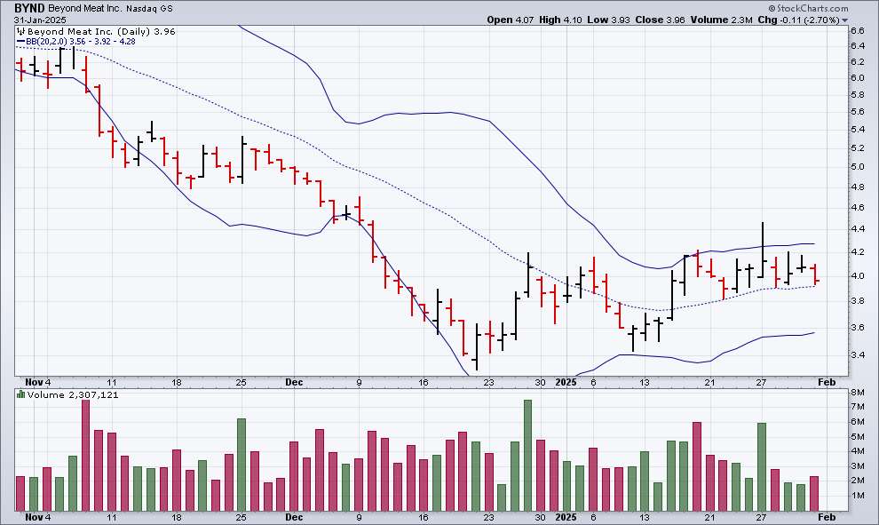 BYND hits bottom in December