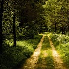 How to Approach Somatic Practice