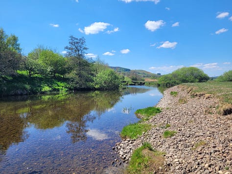 A series of images of a sunny day at the river, one with a black spaniel, one with two kids in a kayak, one a landscape