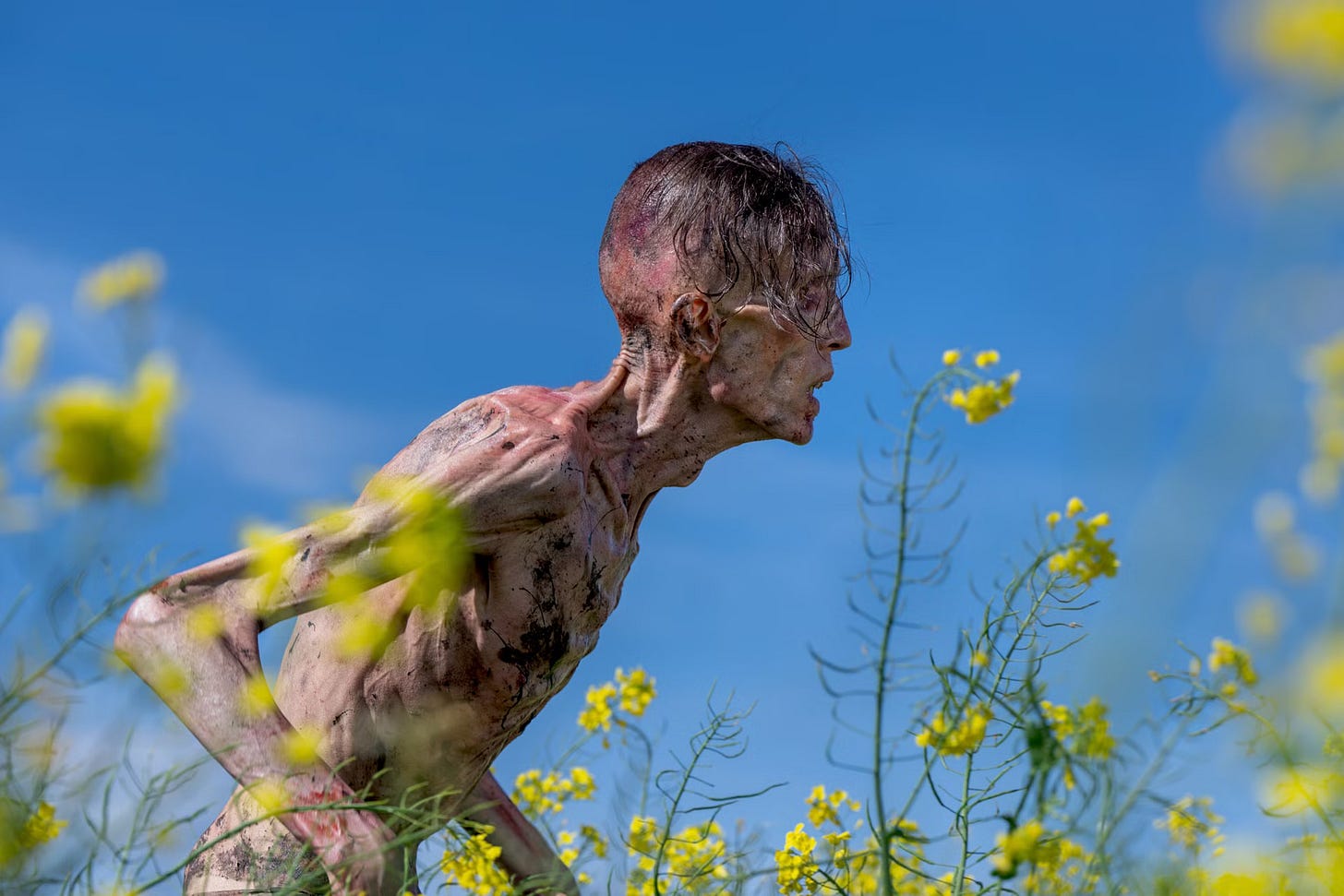 An infected zombie stalks through flowers in 28 Years Later. 