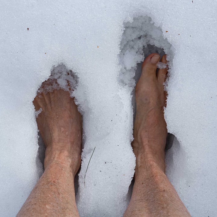 Diptych: Person walking in snow holding up a wedding dress and top-down view of two feet in snow.