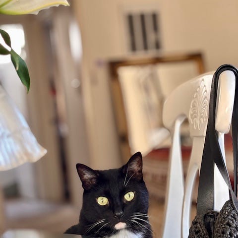 Artwork for Trend Memoir: Past, Current, Present