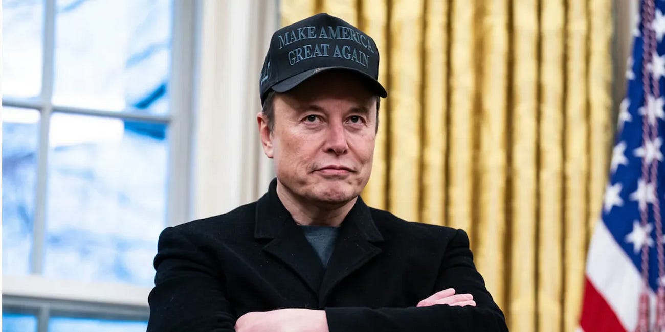 Musk’s Fraudulent Fraud Squad