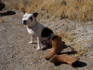A woman's best friends: On the left, 3 years old; on the right, 15 years old.