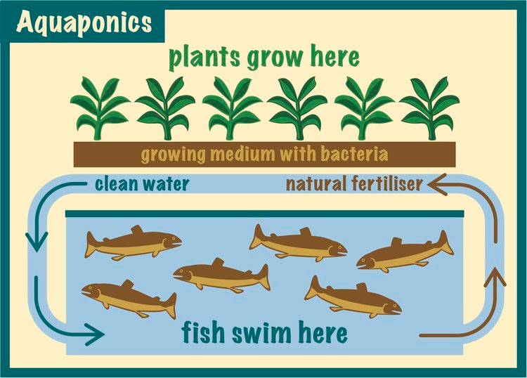 The Roots of Indoor Farming5 The Roots of Indoor Farming5