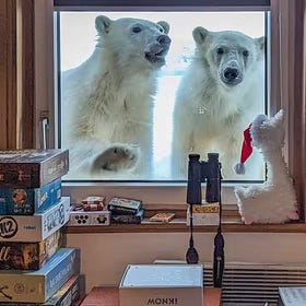 Arctic Circle Diaries