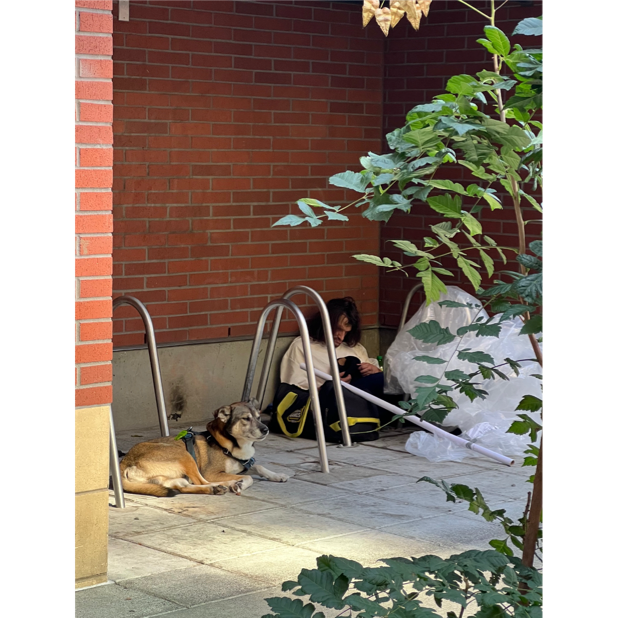 A dog lying on a chair next to a person

AI-generated content may be incorrect.