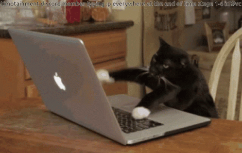 A black cat typing furious on a mac laptop keyboard, as if it is working