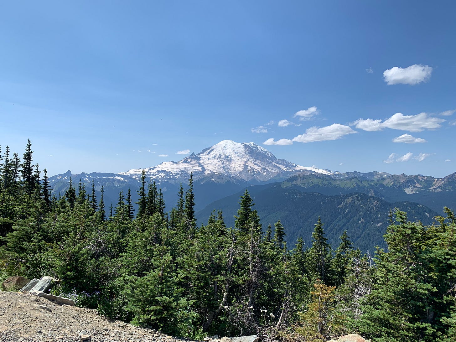 Mount Rainier rises in the distance against a clear blue sky.