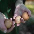 a few baking guidelines