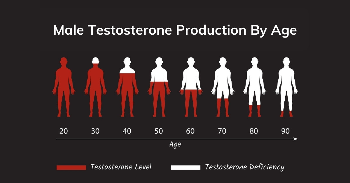 Where Has All the Testosterone Gone?