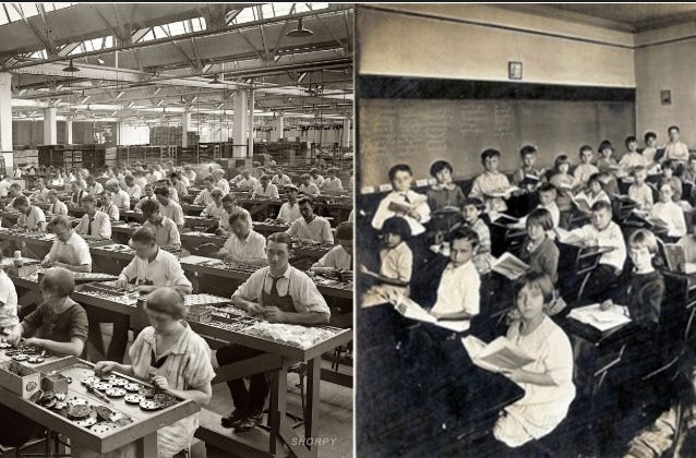 What Killed Curiosity? The Education System Did Its Job