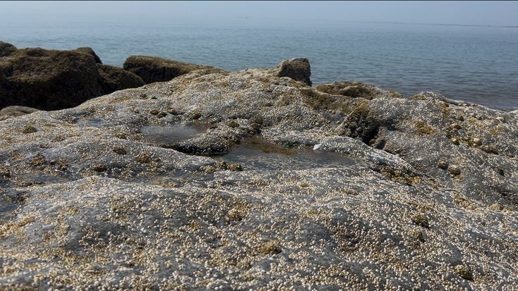 Story Pin image Story Pin image