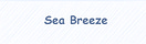 The Java Knowledge Ocean