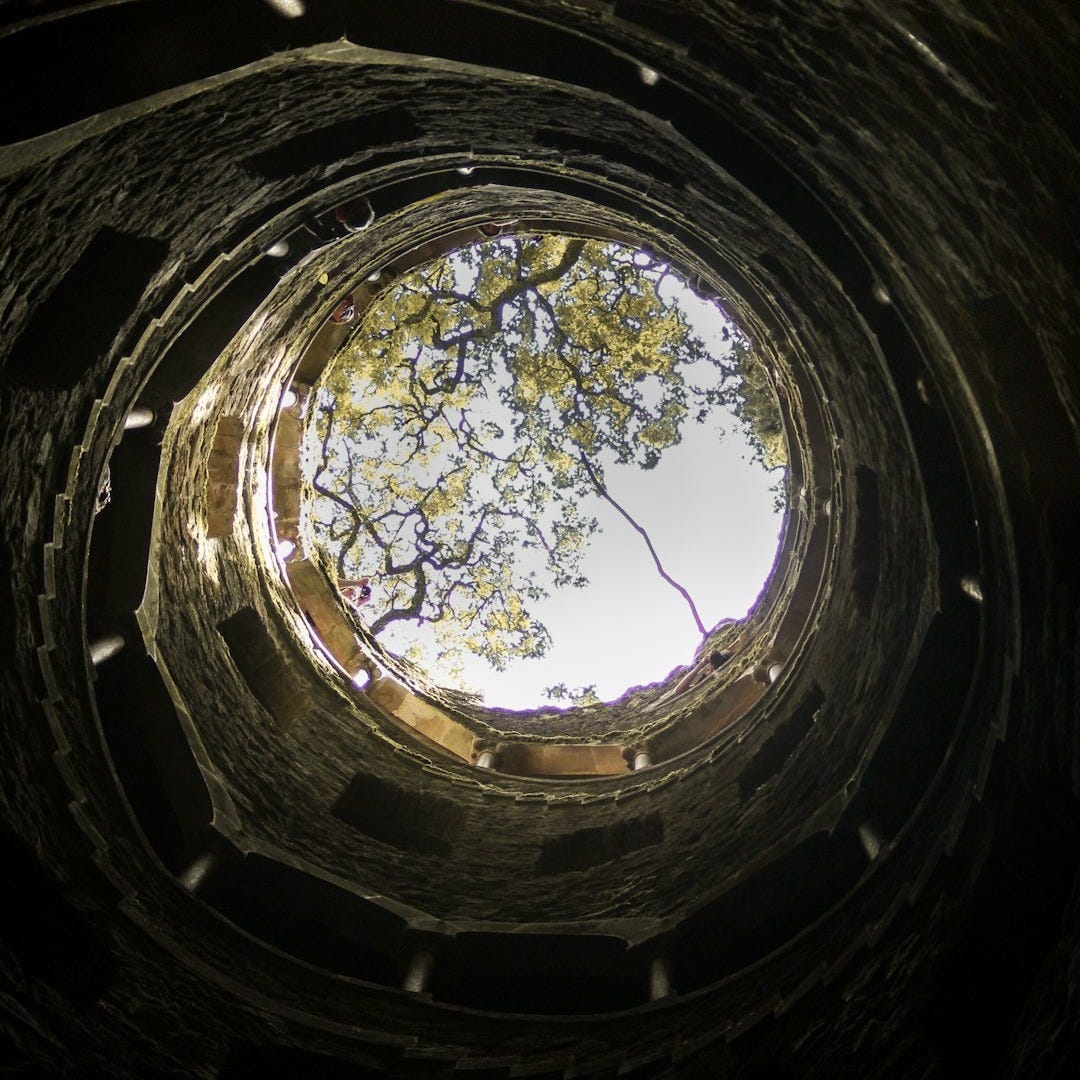 low angle photography of tree in tunnel low angle photography of tree in tunnel