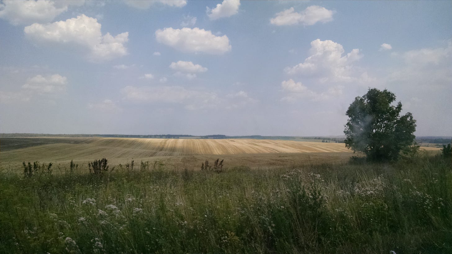 Ukrainian breadbasket - for hundreds of kilometers Ukrainian breadbasket - for hundreds of kilometers