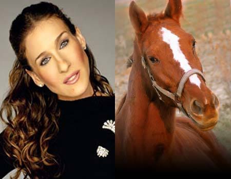 Sarah Jessica Parker Horse Comparison - Gallery | eBaum's World