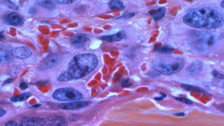 blue and white abstract painting