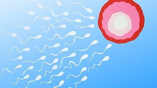 Men and women are equally likely to be infertile, yet less than half of men are aware 