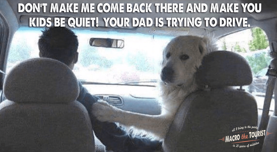 https://i0.wp.com/themacrotourist.com/images/2017/09/20170922-dog.png