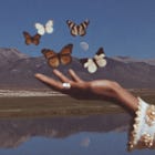 stop sanitizing yourself for other people's comfort