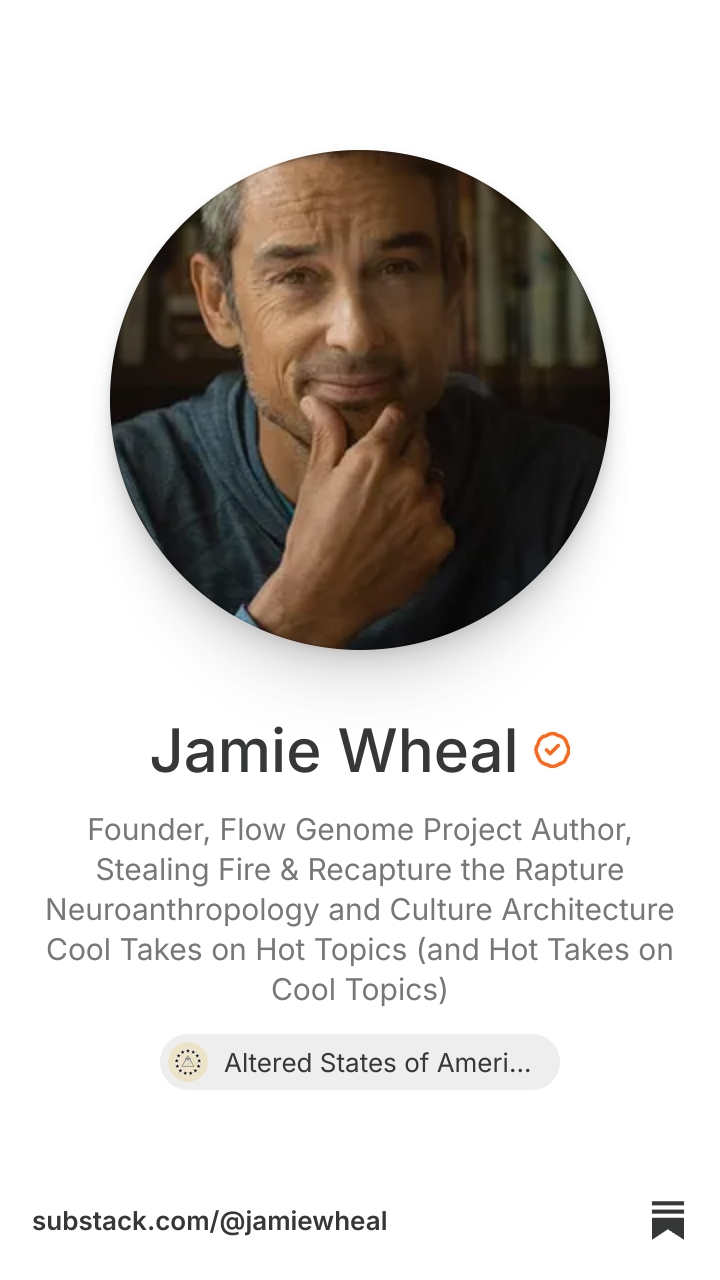 Jamie Wheal | Substack