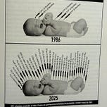 LawyerLisa’s Substack