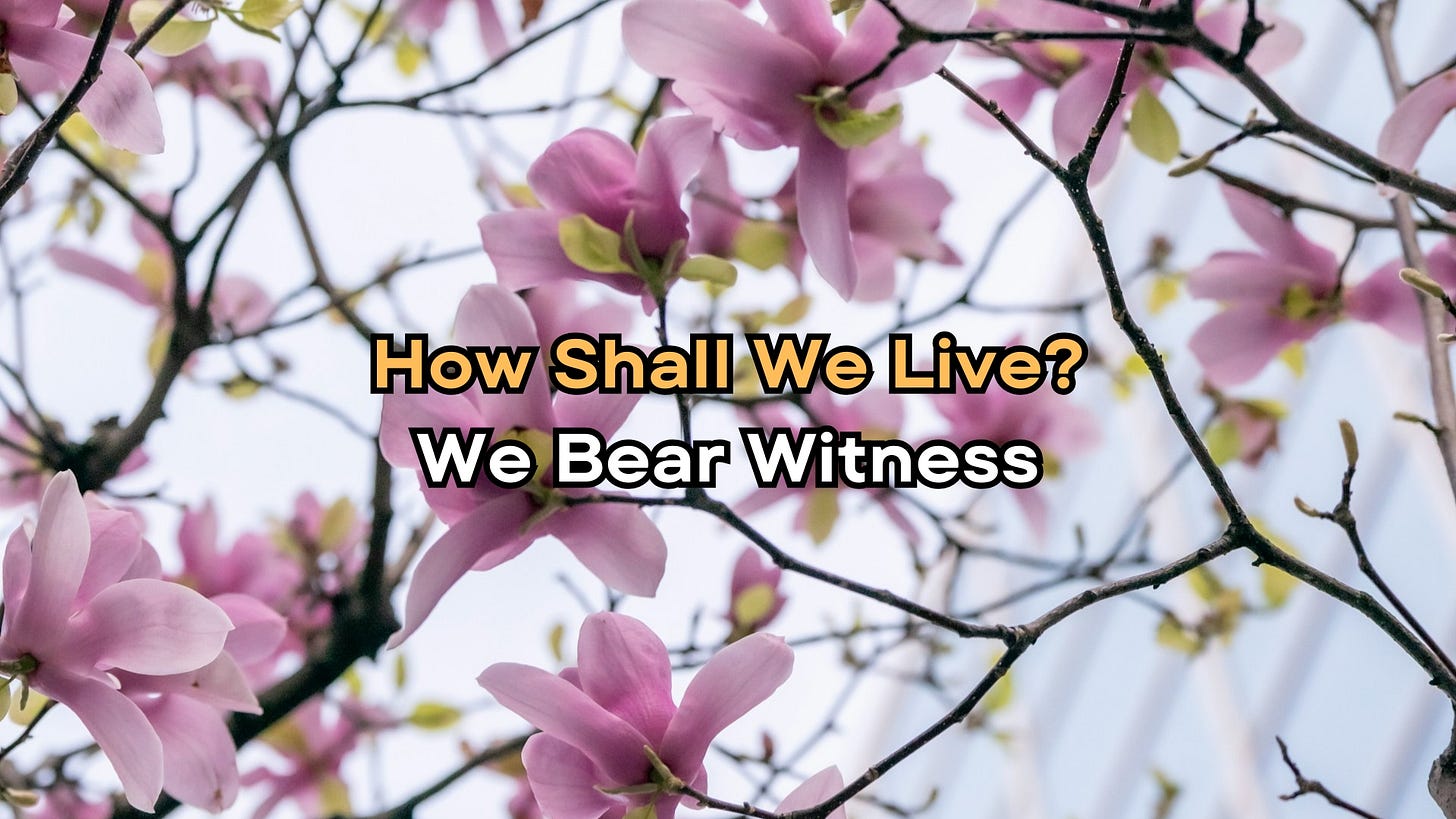 Image of a tree with pink flowers in front of a tall building. It includes the text: "How Shall We Live? We Bear Witness"