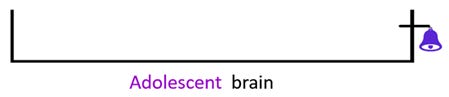 This image has an empty alt attribute; its file name is adobucket.png