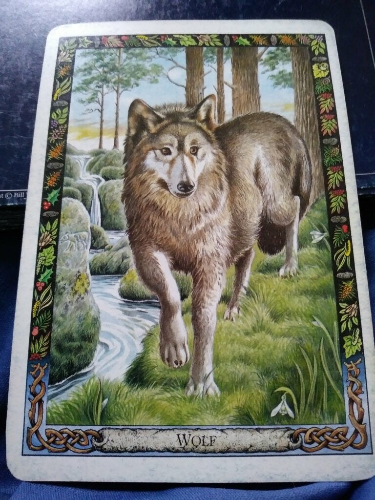 A Message from the Universe - Wolf (reversed) A Message from the Universe - Wolf (reversed)