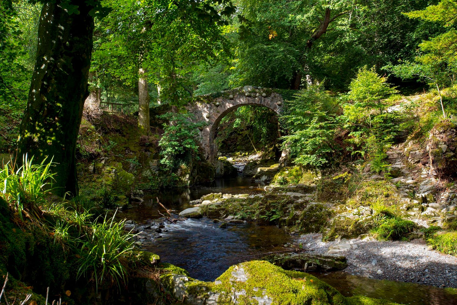 Explore Tollymore Forest Park | Ireland.com