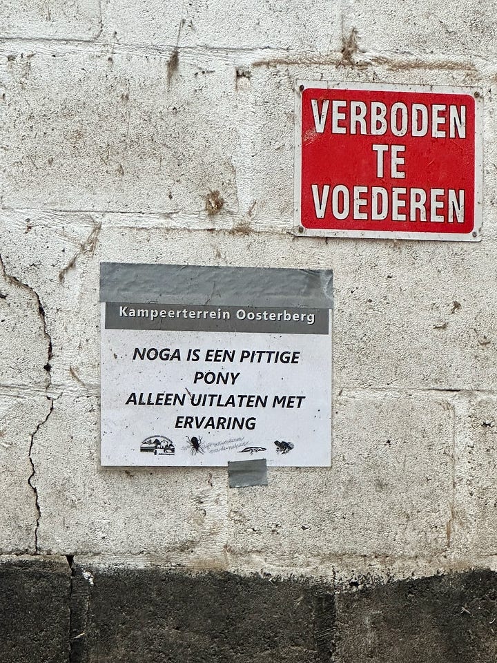 Een smalle rivier kronkelt door groene velden, een bordje 'verboden te voederen' naast een bordje dat waarschuwft voor Noga, de pittige pony die je alleen mag uitlaten 'met ervaring'.