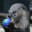 Therisa's avatar